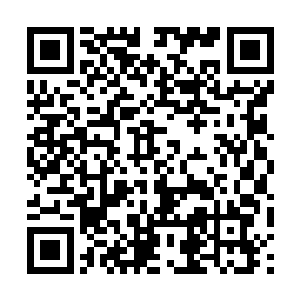 却无声冲下来的一只足比那两只饕餮大上一圈的饕餮~二维码生成