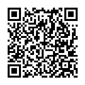 却无法改变皇长子从王恭妃肚子里钻出来的事实二维码生成