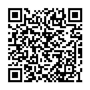 却无法阻止虚拟人类在日积月累的文明发展之后二维码生成