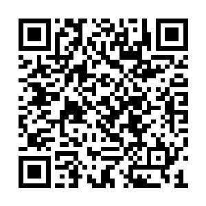 却明显比雷林当初刚见到的时候充满了灵动之感二维码生成