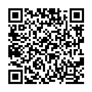 却是不在呵斥曾毅是否想要造反之类的极具威慑性的二维码生成