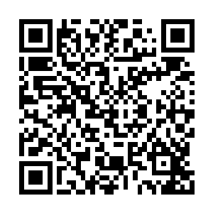 却是不由抬起头有些诧异的看了一眼林辰的表情二维码生成