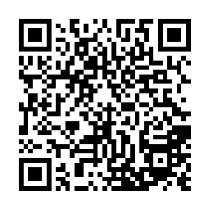 却是人力资源部的金雨薇经理正扭着腰肢快步朝电梯走来二维码生成