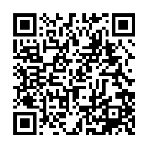 却是修罗那巨大的躯体被震荡得剧烈摇晃了起来二维码生成