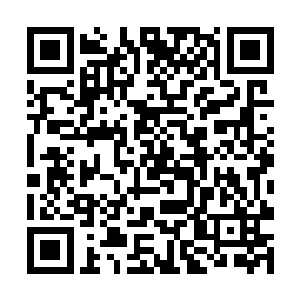 却是发现前方不远处一个摊位前似是发生了什么情况二维码生成