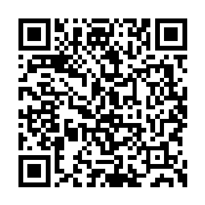 却是发现在她的面前有一人正一脸笑容的看向她二维码生成