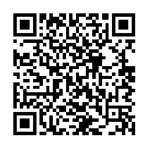 却是发现整个小嘴口村的滇池都被武警远远的给封锁了二维码生成