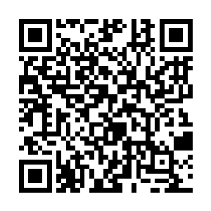 却是可以打开三千大道世界吸纳三千大道世界的真元二维码生成