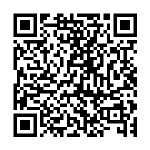 却是因为前一番出去并没有完成出行的真实目的而造成的后果二维码生成