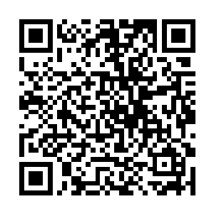 却是因为没有父母我还是会遭到村里孩子的偶尔嘲讽二维码生成