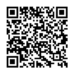 却是因为自己拿不定注意而没有得到传承的修士二维码生成