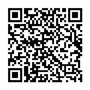却是在一边侵蚀着他们的五脏六腑一边修复着他们的身体二维码生成