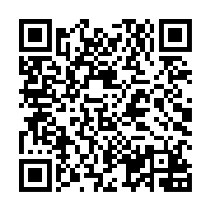 却是在于要给越光莲雾米在发芽的时候撒上玉石的粉末二维码生成