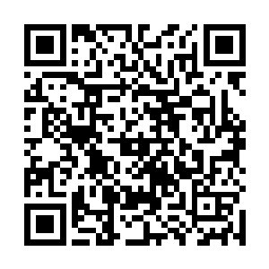 却是在张嘴瞬间就被那已然变成淡红色的血液灌满一嘴二维码生成