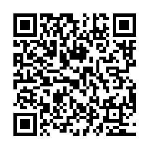 却是将她那柄能够劈开空间的次元巨镰挥舞地更加凌厉二维码生成