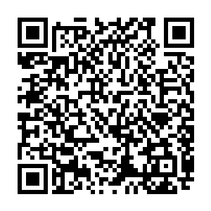 却是将它的价值与那普通的灵芝完全拉开了的……甚至说它们完全不算是同类二维码生成