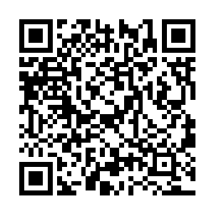 却是将宝器拳金属性拳法的六式在一瞬间同时击出二维码生成