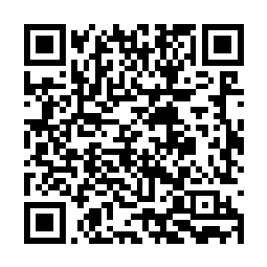 却是将残余所有力量都凝聚在大炎龙雀的左拳之上二维码生成