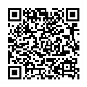 却是归塘界主在八道仙境中跟我的那些八卦消息二维码生成