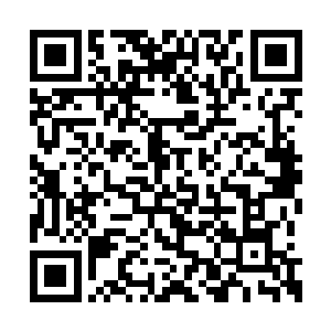 却是彻彻底底打散了他在金军中建功立业的期望二维码生成