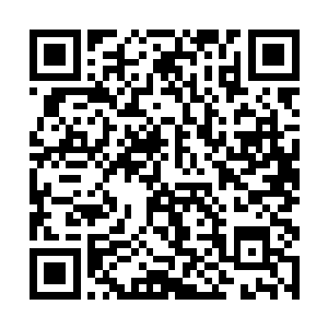 却是很干脆地将两层的灵兽一股脑儿地全部放了出来二维码生成