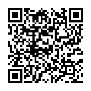 却是忘记了夜染的几重身份和她背后所代表的势力二维码生成