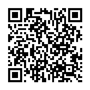 却是我此刻只能感到字句之间是满满的期待与哀伤与悲苦二维码生成