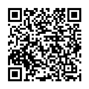 却是散发出来了一股就连林封谨也觉得恐怖震撼的气息二维码生成