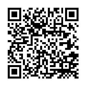 却是早已经认定了萱若小姐和云少主才是天造地设的一对二维码生成