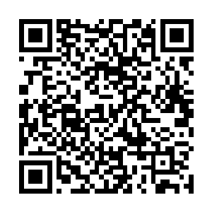 却是早远远地就有一条靓丽的身影就向着他迎接了上来二维码生成