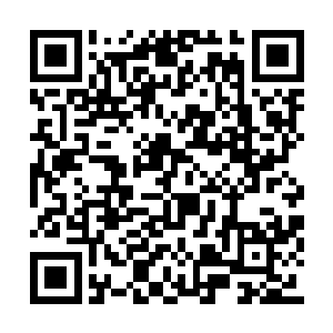 却是没有父母的事实在我小小心里已经生根发芽二维码生成