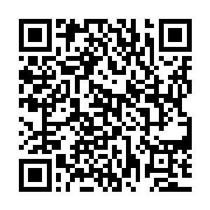 却是狠狠的一掌拍在他的肋下……恐怖的劲力狂暴的吐了出来二维码生成