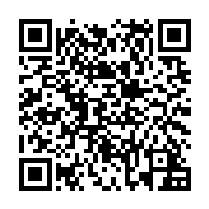 却是用枪指着夏云杰的黑人见他竟然敢伸手去抓苏芷妍二维码生成