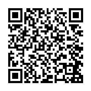 却是看到一道道的血气和生机从云梦之境三位始祖的身体流出二维码生成