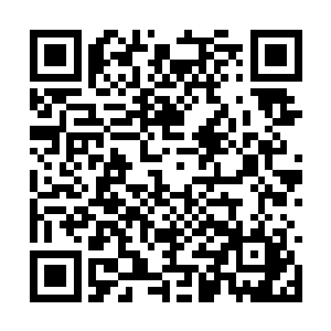 却是看到上面的那个通道中一道身影咻的冲了出来二维码生成