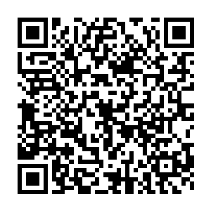 却是看到了一个空姐打扮的机组工作人员正瑟瑟发抖地站在自己的面前二维码生成