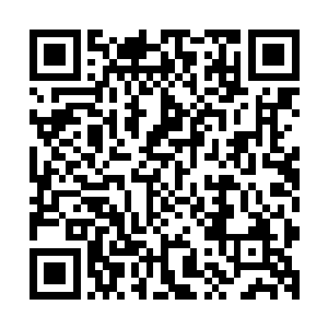 却是看到了八两叔已经和那飞速冲过来的尸王风镰已经交手了二维码生成