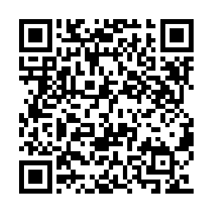 却是眼前这条狗早已是邪气满满再不复镇宅功效二维码生成