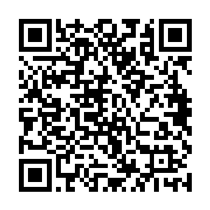 却是站满了来自四面八方的修士以及南楚的贵族忠臣二维码生成