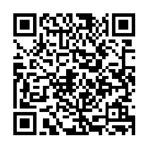 却是第一次自己住的萌萌用小翅膀推开门跳了出来二维码生成