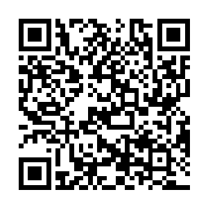 却是能够从面前的大殿当中感受到一种难以形容的压迫二维码生成