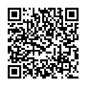 却是被楚旬利用厚土珠结合虎魄刀和他自身的力量强行挡住二维码生成