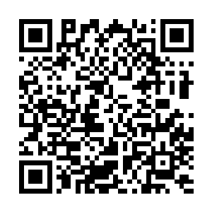 却是让凤仙子有点为难――她原本是想跟童长老招呼一声的二维码生成