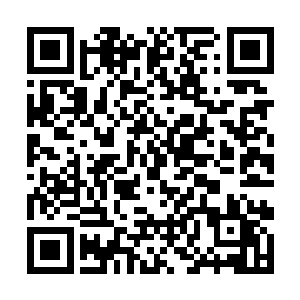 却是让同为黑卡强者的书剑公子都感到了一阵的颤粟二维码生成