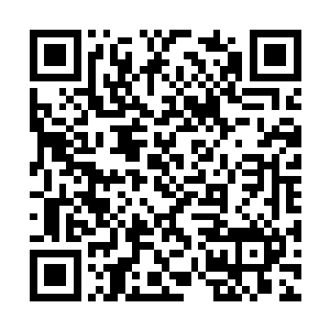 却是让林烽和林向阳等人都陷入了深深地震撼当中二维码生成