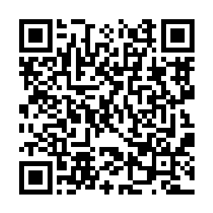 却是赫然发现墨的另一只手臂随之到了自己的身前二维码生成