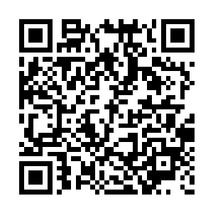 却是走出了一名老者以及一名身穿夜行衣的杀手二维码生成