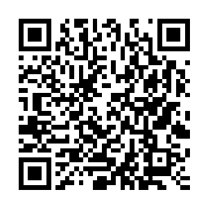 却是这个老者一看到神隐的目光就再次跌倒在大殿的地面上了二维码生成