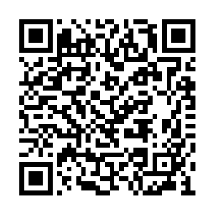 却是除却得知那蚊子毒性惊人之外我是毫无发现二维码生成