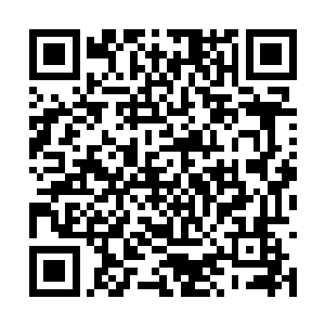 却是魔修中权利远在域主州主之上的真正实权令牌二维码生成